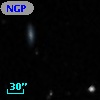 NGPFG 27032