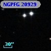 NGPFG 20929