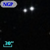 NGPFG 30229