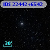 IDS 22442+6542