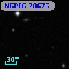 NGPFG 20675
