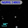NGPFG 24955