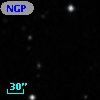 NGPFG 32041