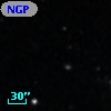 NGPFG 30091