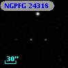 NGPFG 24318