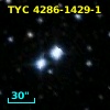 CCDM J22564+6447B