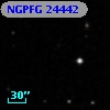 NGPFG 24442
