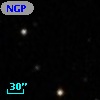 NGPFG 31967