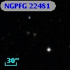 NGPFG 22481
