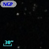NGPFG 29931