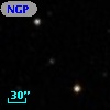 NGPFG 31951