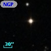 NGPFG 29838