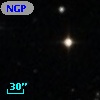 NGPFG 29819