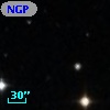 NGPFG 29777