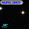 NGPFG 20975