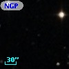 NGPFG 29781