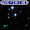 TYC 4286-247-1