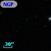 NGPFG 29676