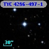 TYC 4286-497-1