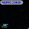 NGPFG 22018