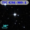 TYC 4286-909-1