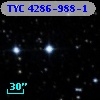 TYC 4286-988-1