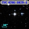 TYC 4286-1029-1