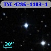 TYC 4286-1103-1