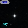 NGPFG 29687