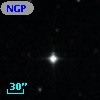 NGPFG 29681