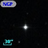 NGPFG 29688