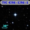 TYC 4286-1286-1