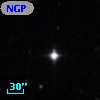 NGPFG 29691
