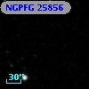 NGPFG 25856