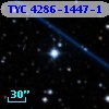 TYC 4286-1447-1