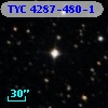 TYC 4287-480-1