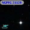 NGPFG 21129