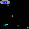 NGPFG 31772