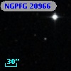 NGPFG 20966