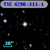TYC 4290-311-1