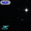 NGPFG 29629
