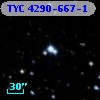 TYC 4290-667-1