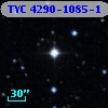 TYC 4290-1085-1