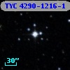 TYC 4290-1216-1
