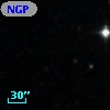 NGPFG 29611