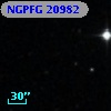 NGPFG 20982