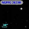 NGPFG 26230
