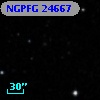 NGPFG 24667