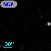 NGPFG 31574
