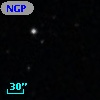 NGPFG 29523